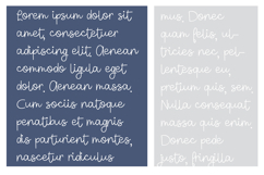 Harveyville Font Family Product Image 3