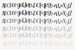 ZP Highlights Product Image 4