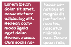 Hogs and Kisses Product Image 4