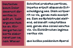 Hogs and Kisses Product Image 7