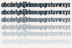 Hootfruit Font Family Product Image 4