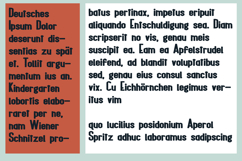 Husky Font Family Product Image 6