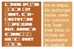 Iconic Craftwork and Corral Font Duo Product Image 5