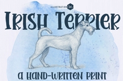 Irish Terrier Product Image 1