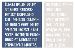 Irish Terrier Product Image 5