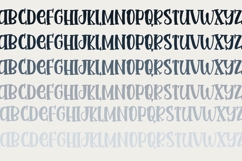 Irish Terrier Product Image 6