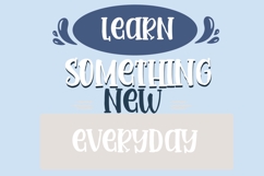 Irish Terrier Product Image 7