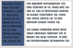 Irish Terrier Product Image 2