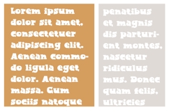 Jackitorial Product Image 3