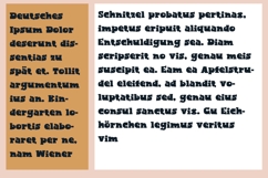 Jackitorial Product Image 6
