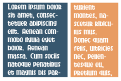 Jackson Font Family Product Image 5