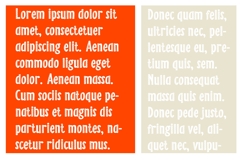 Jacobo Product Image 5