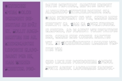 Jangle Pippins Font Family Product Image 2
