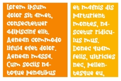 Jango Juice Font Family Product Image 4
