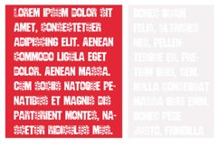 ZP Jersey Joy Product Image 4