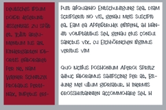 Jolly Graduate Font Family Product Image 8