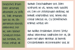 Klezmorim Font Family Product Image 6