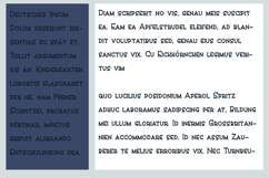 Krackalacka Product Image 2
