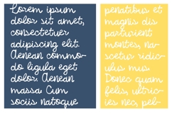 Lemon Rind Product Image 2