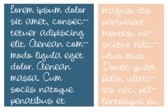 Little Fishmonger Font Family Product Image 3