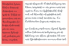 ZP Love Branch Font Family Product Image 4