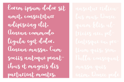 ZP Love of my Life Font Family Product Image 4