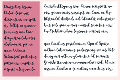 ZP Love of my Life Font Family Product Image 7