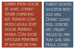 Luchador Product Image 6