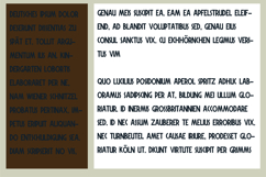 Mesozoic Font Family Product Image 5