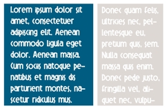 Mesquite Font Family Product Image 4