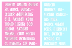 Milkshake Font Family Product Image 6