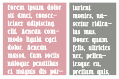 Milkshake Script Font Family Product Image 3