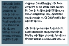 Mister Garden More Font Family Product Image 3