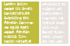 Monsieur Font Family Product Image 5