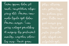 Moonflower Font Family Product Image 4