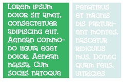 Moshquito Product Image 5