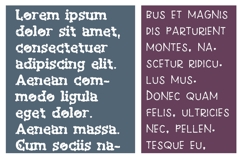 Moth Morbidity Font Duo Product Image 5