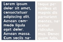 ZP Moth Munched Product Image 7