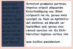 ZP Moth Munched Product Image 4