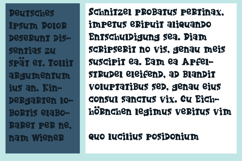Nerd Font Family Product Image 5