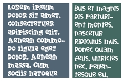 Nerve Fright Font Duo Product Image 6