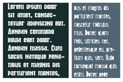 Nincaberry Scary Font Duo Product Image 3