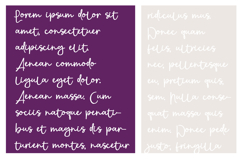Nurple Font Family Product Image 3