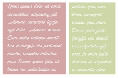 Organza Font Family Product Image 3