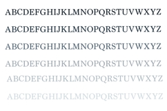 ZP Passionate Monogram Font Family Product Image 6