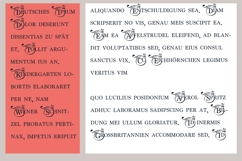 ZP Passionate Monogram Font Family Product Image 3