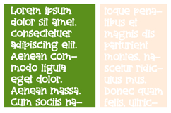 Peacoat Font Family Product Image 3