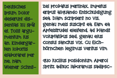 Peacoat Font Family Product Image 6