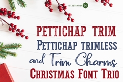 Pettichap Trim Font Duo Product Image 1