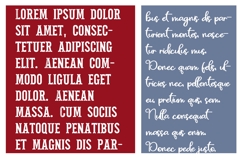 Pettichap Trim Font Duo Product Image 4